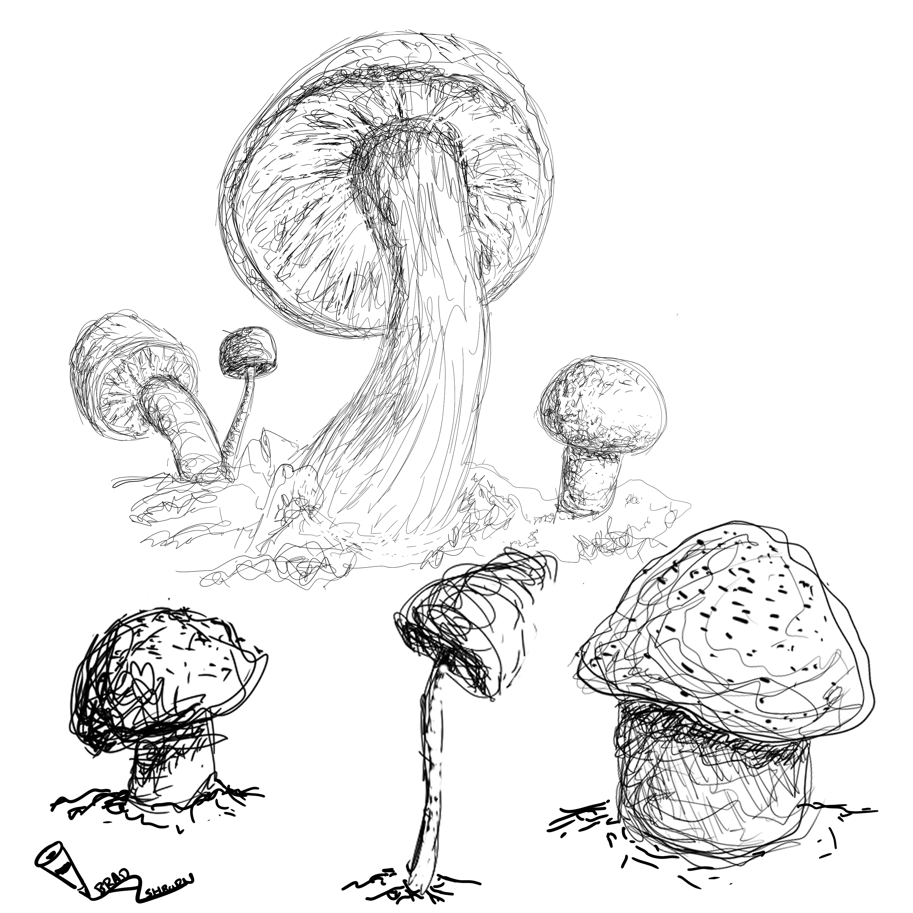 Scumbled Mushrooms