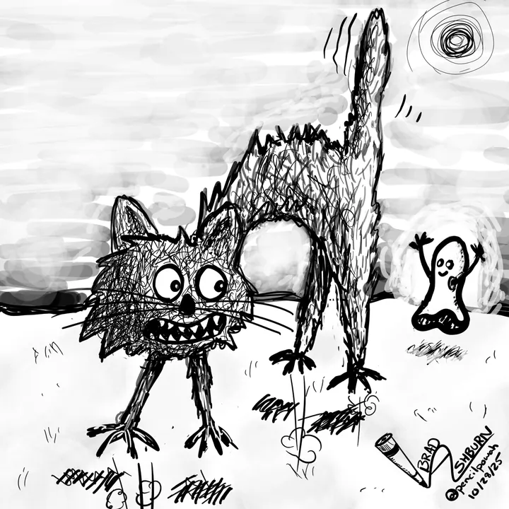 Sacredy Cat