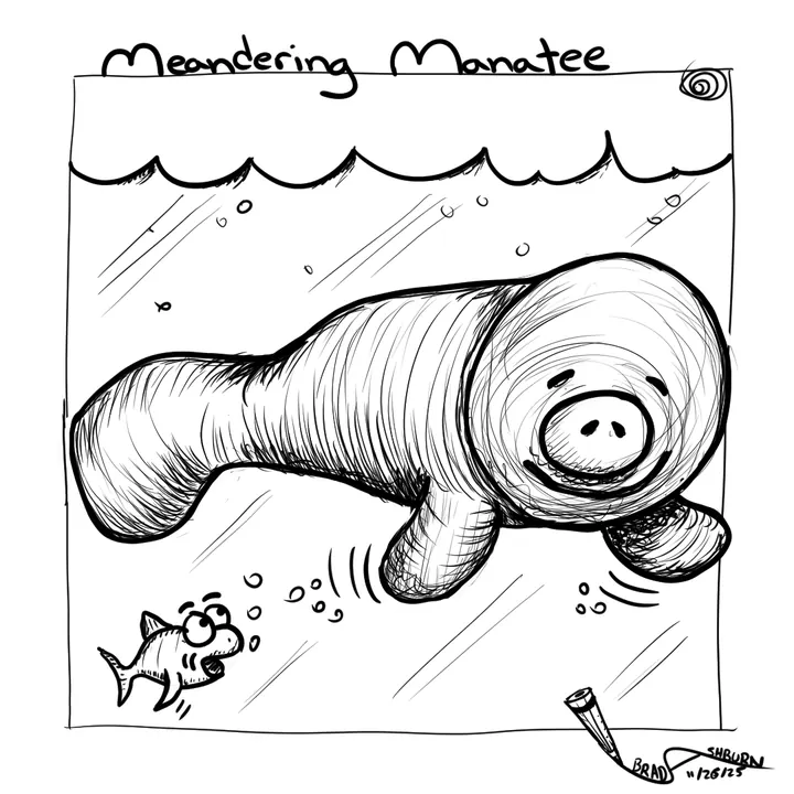 Meandering Manatee